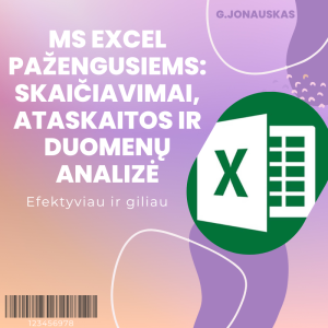 Excel pažengusiems mokymai
